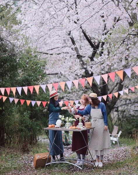 首爾「野餐音樂節」免費入場 櫻花樹下享受音樂與美食