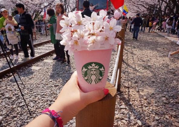 韓國Starbucks首推 早、午、夜櫻紙杯及隔熱杯套