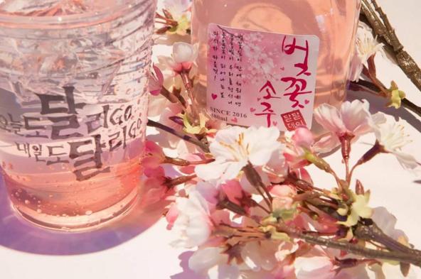 韓國都有！半透明粉紅「櫻花碳酸燒酒」 櫻花樹下賞櫻特飲