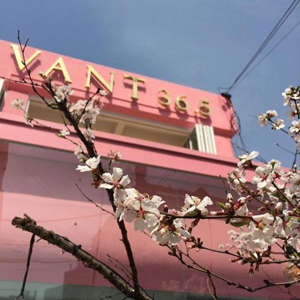 韓妹新聚腳地！首爾童話式粉紅咖啡店 超過20款人氣彩妝、生活小品任你揀