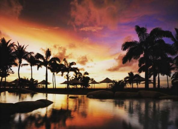 與動物做鄰居！ 5間能近距離接觸動物的酒店