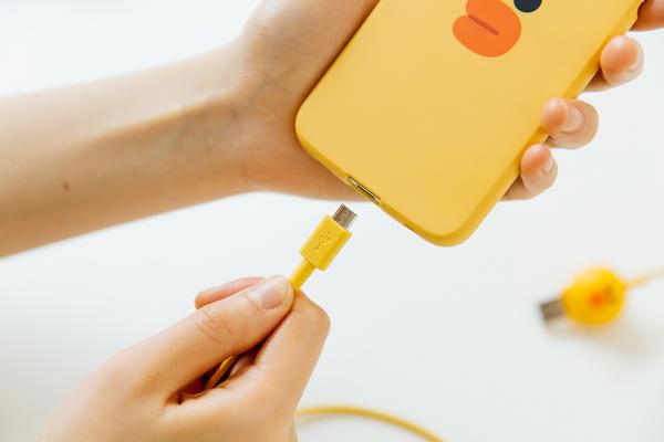 LINE FRIENDS迷注意！ LINE FRIENDS熊大Sally4大電子附件新品登場