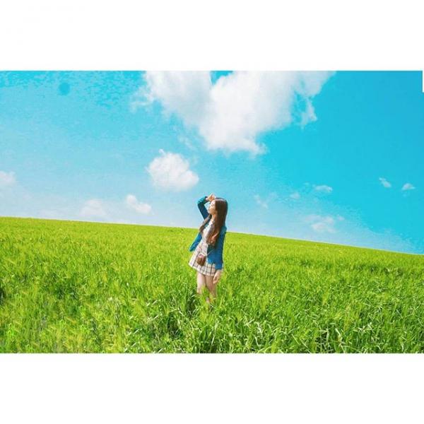 花海將我包圍！韓國9大必去花季慶典 仲有得放天燈！
