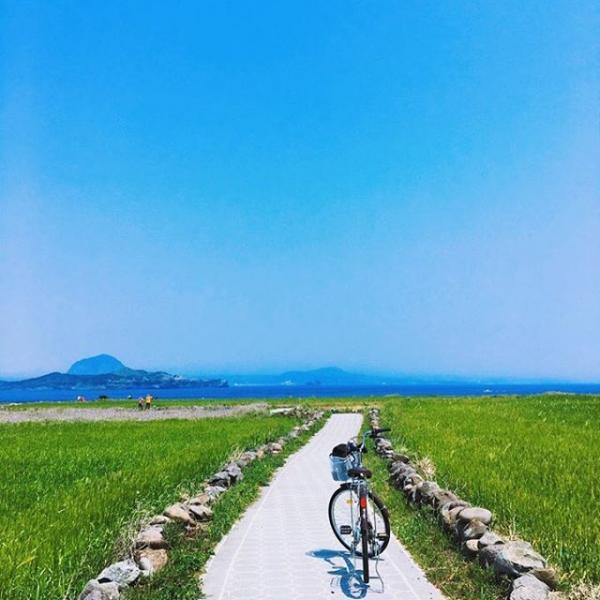 花海將我包圍！韓國9大必去花季慶典 仲有得放天燈！