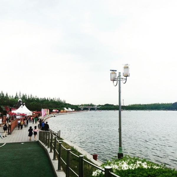 花海將我包圍！韓國9大必去花季慶典 仲有得放天燈！