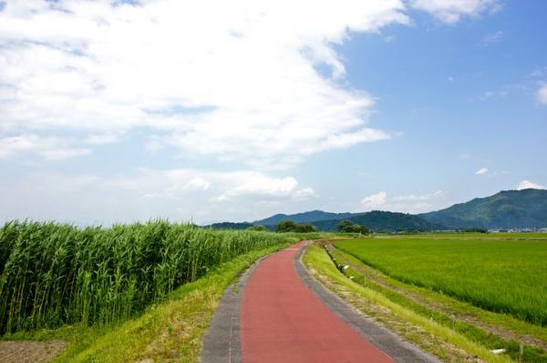 騎腳踏車遊覽！ 日本10大人氣單車遊目的地
