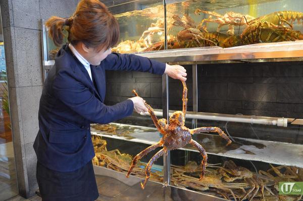 首爾5間食店推介！ 豪嘆海鮮鍋、韓牛、鱈場蟹