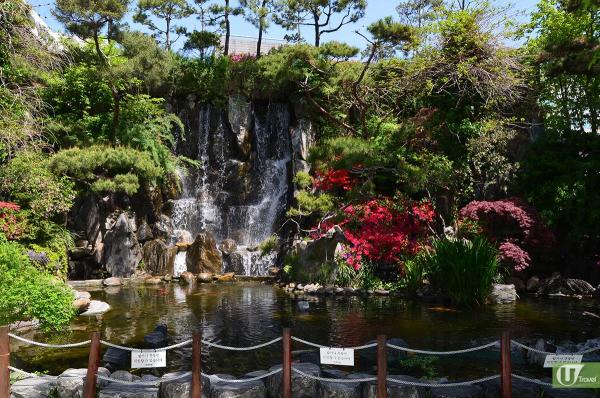 首爾5間食店推介！ 豪嘆海鮮鍋、韓牛、鱈場蟹