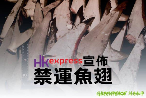 香港首間！ HKExpress宣佈禁運魚翅