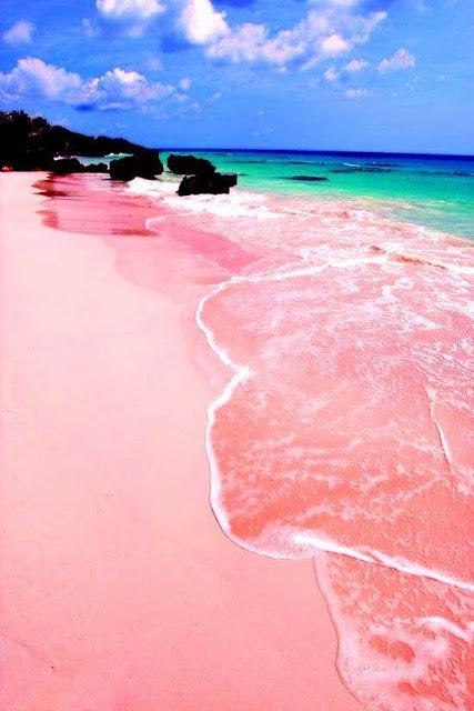 全球10大超夢幻「粉紅色沙灘」 在亞洲已經可以找到其中3個！