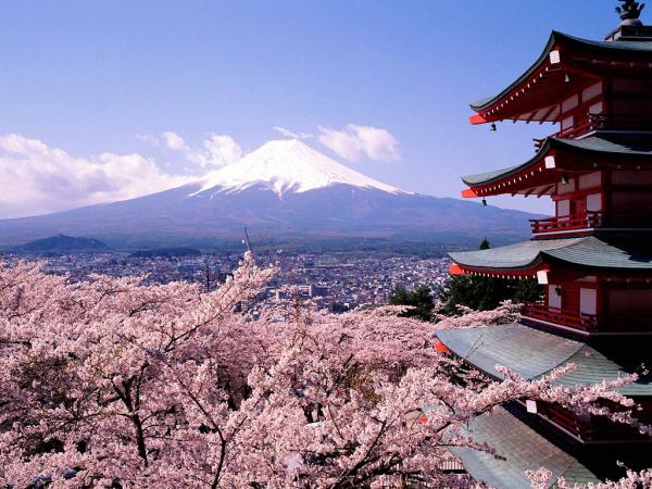 說中你心聲嗎？ 日本令外國遊客感動與驚訝的12件事