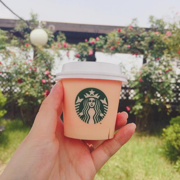 韓國Starbucks再推綿滑布甸 超濃郁哈蜜瓜新口味！