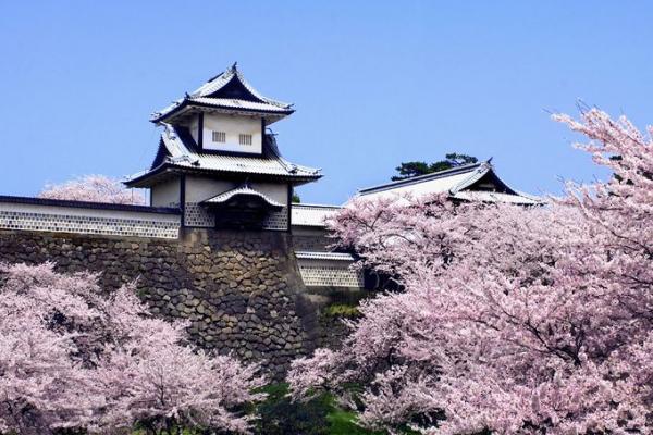 「期望與現實不相符」 最令人失望的日本城市排名