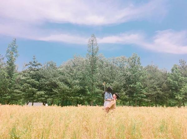 花海、芒草海集中地！ 首爾市內世外桃源「天空公園」