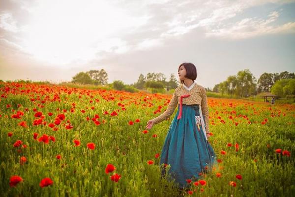 花海、芒草海集中地！ 首爾市內世外桃源「天空公園」