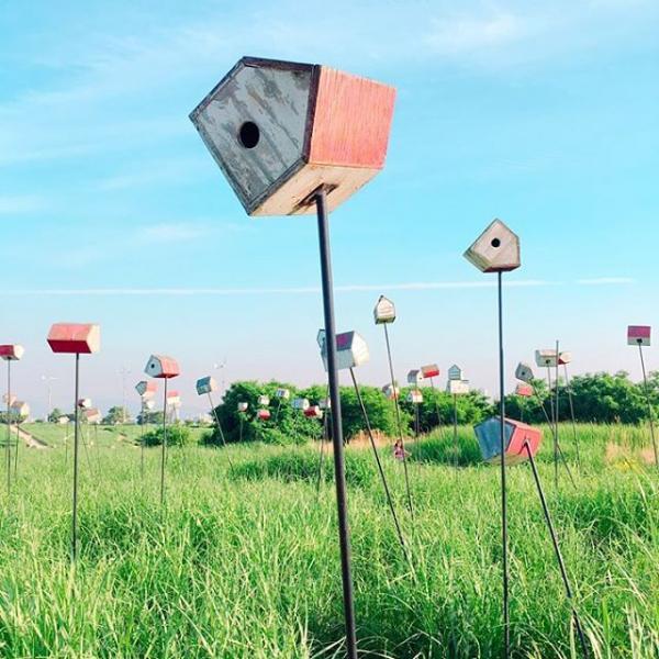 花海、芒草海集中地！ 首爾市內世外桃源「天空公園」