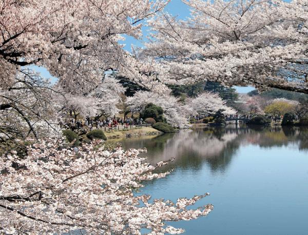 你應該還未全都去過！ 日本全新30個最有人氣的景點