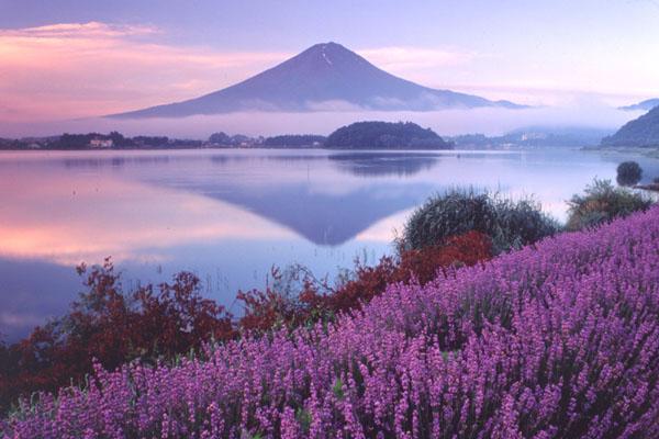 你應該還未全都去過！ 日本全新30個最有人氣的景點