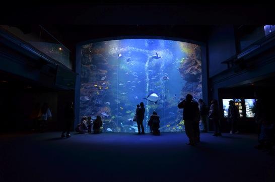 影出文青簡潔風！ 4個簡單小技巧拍出絕美風景相