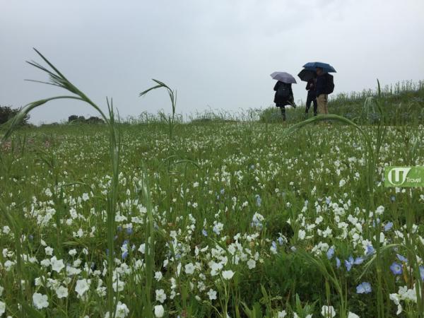 影出文青簡潔風！ 4個簡單小技巧拍出絕美風景相