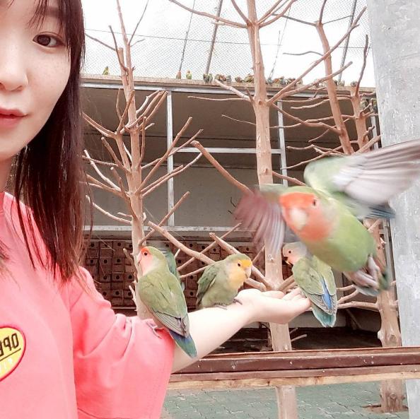 美得令人發呆！ 濟洲島2大繡球花打卡勝地