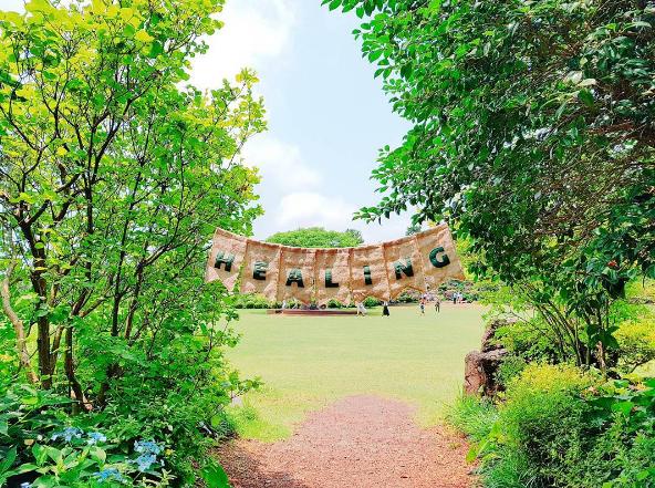 美得令人發呆！ 濟洲島2大繡球花打卡勝地