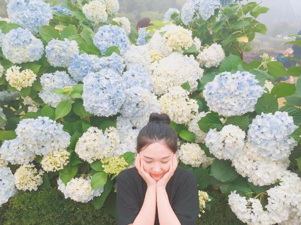 美得令人發呆！ 濟洲島2大繡球花打卡勝地