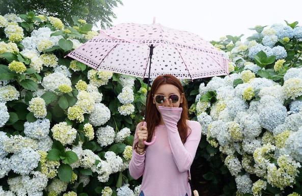 美得令人發呆！ 濟洲島2大繡球花打卡勝地