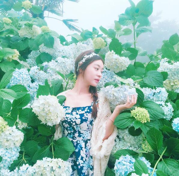 美得令人發呆！ 濟洲島2大繡球花打卡勝地