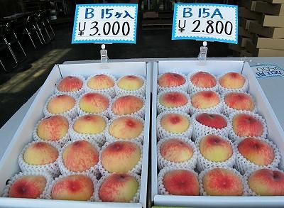 5買到一大箱全球最甜白桃！ 大阪一年一度平賣包近桃開售