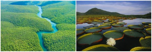 大自然的魅力！ 全球十大不可思議神秘景點