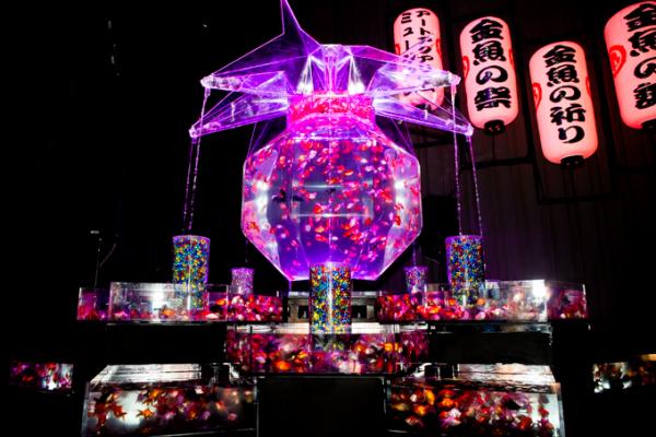 散發神秘感！ 東京、大阪、金澤舉行金魚燈光水族館展