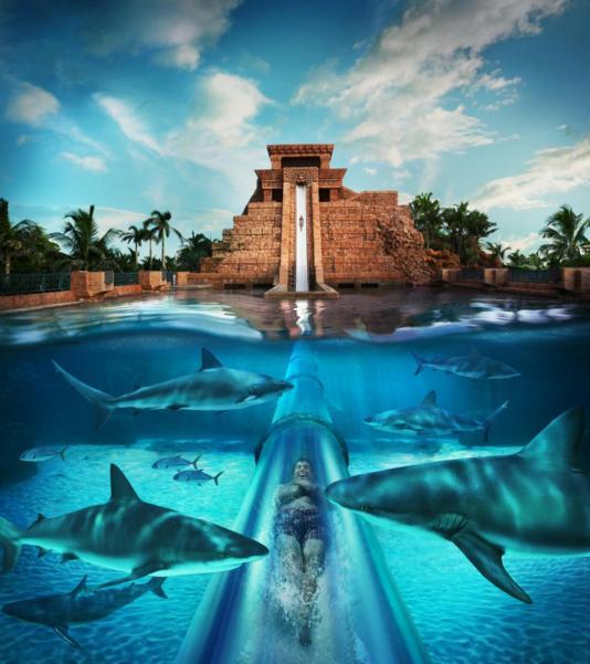 玩到不願走！ 世界10大最好玩水上樂園