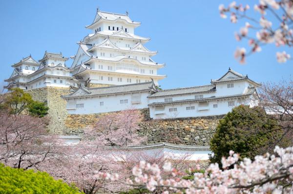 沒來過會後悔！ 代表日本各種「最美」的5個景點