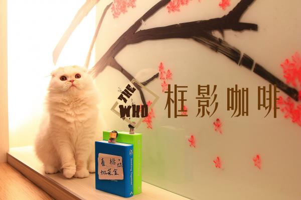 貓奴必去朝聖! 台北超可愛立體貓面咖啡店