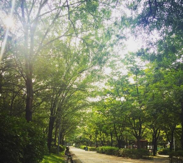 支持文創商品!文青新蒲點 首爾林全新彩色貨櫃商場