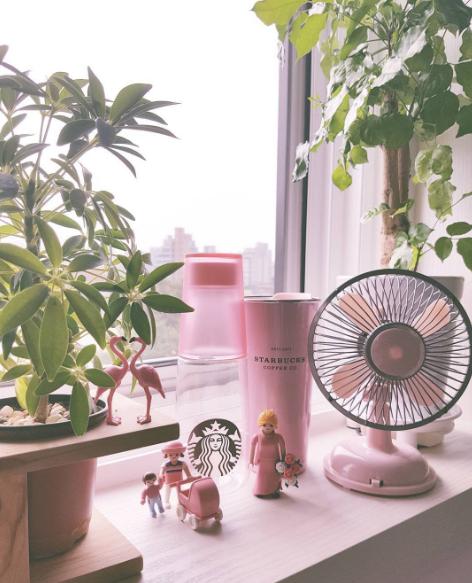 延續夢幻少女情懷！ 韓國Starbucks新推2系列粉色杯