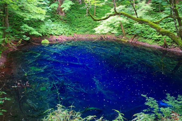 藍得好神奇! 日本6個Tiffany Blue夢幻景色