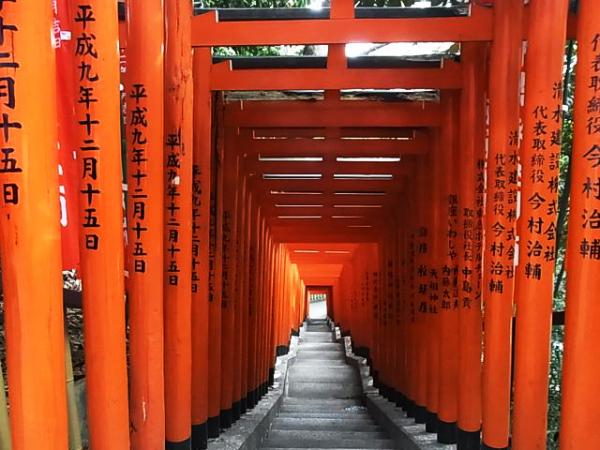 影鳥居也不會有人「攝鏡」！ 東京4個錯覺以為在京都的景點