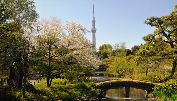 去過這10個景點 就證明你是東京進階旅遊者！
