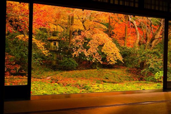 秋天當然不止看紅葉！ 日本秋天7個必看大自然美景