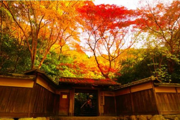 秋天當然不止看紅葉！ 日本秋天7個必看大自然美景