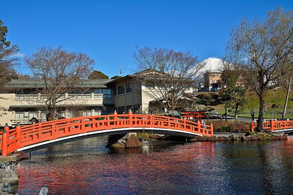 6個觀賞點推介! 靜岡看富士山行程