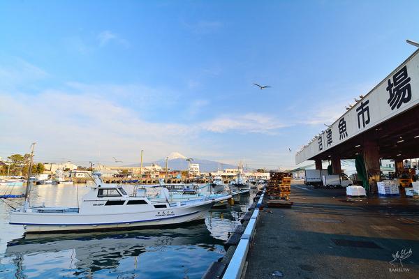 6個觀賞點推介! 靜岡看富士山行程