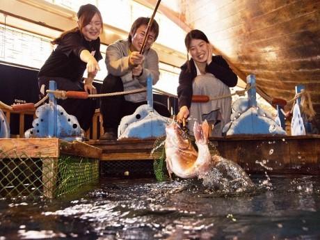 釣魚釣上來即製即吃！ 日本邊釣邊吃居酒屋
