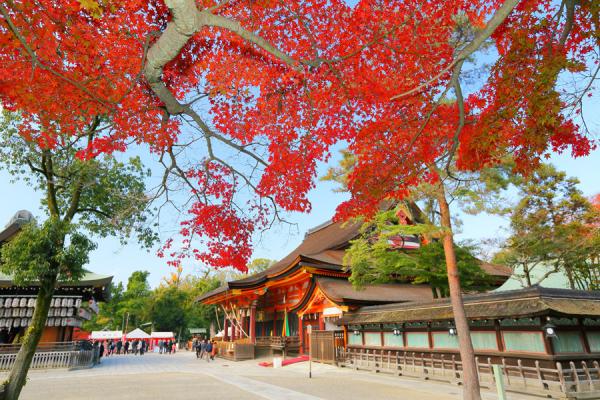 窮遊都可以好好玩！ 京都5大絕美免費景點