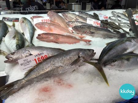 【澳洲】食旅日誌－悉尼必去魚市場 