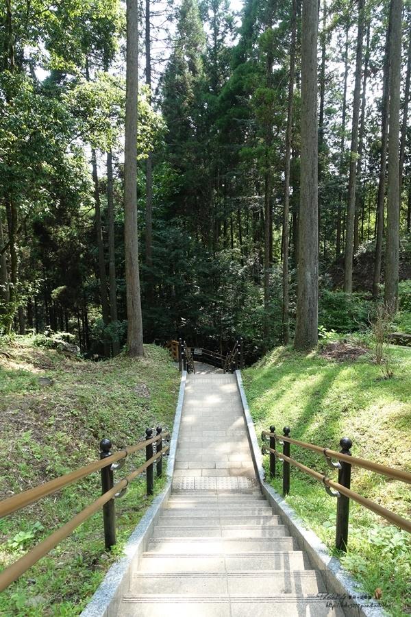 【日本。北九州】熊本秘境。 鍋ヶ滝(鍋瀑布)，彷若仙境般的美景。