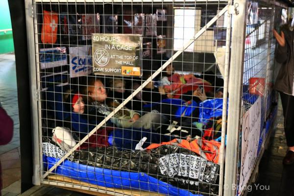 【紐西蘭南島自助 – 皇后鎮篇】絕美城市 冬天必去景點、交通、住宿、必吃美食