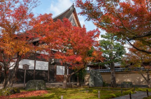 紅葉季節最易犯！ 京都15個禁止拍照的景點